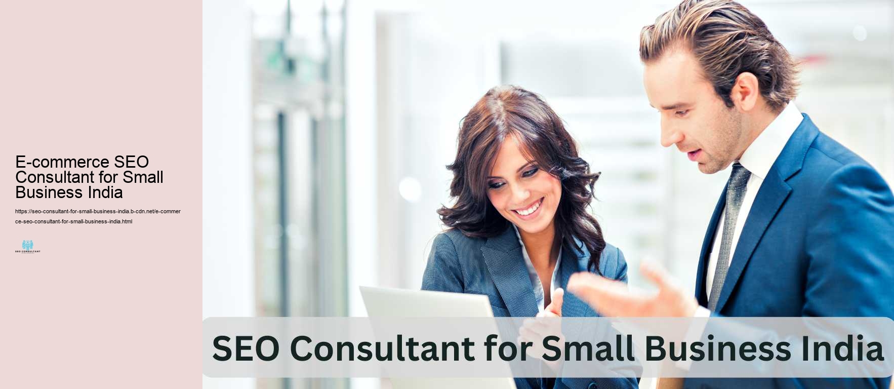 E-commerce SEO Consultant for Small Business India