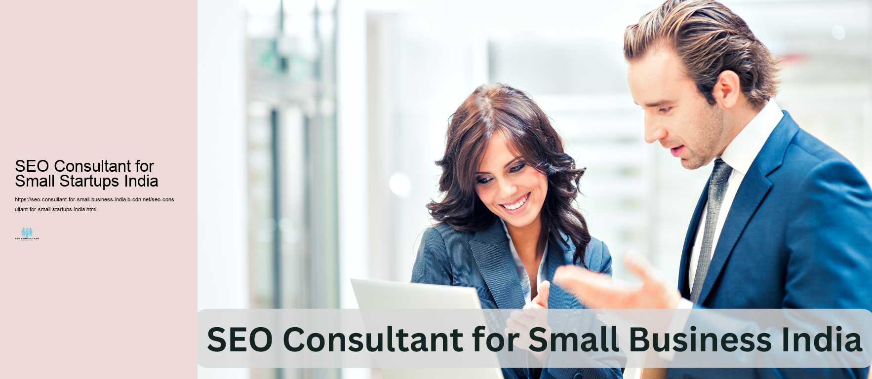 SEO Consultant for Small Startups India